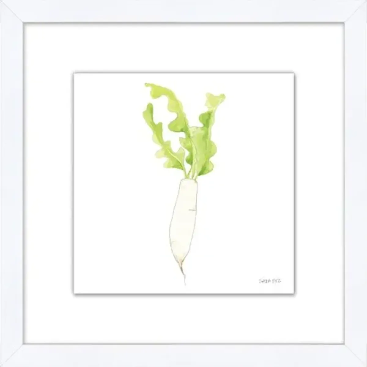 Sara Fitz - Daikon 1