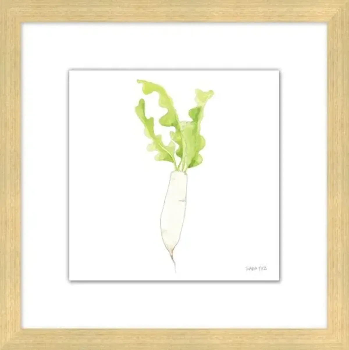 Sara Fitz - Daikon 1