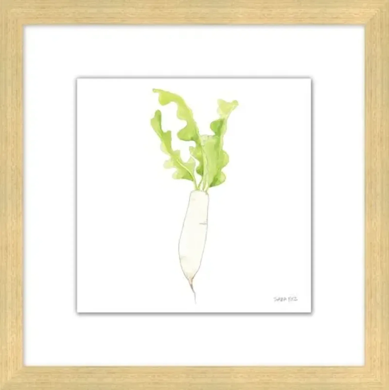 Sara Fitz - Daikon 1