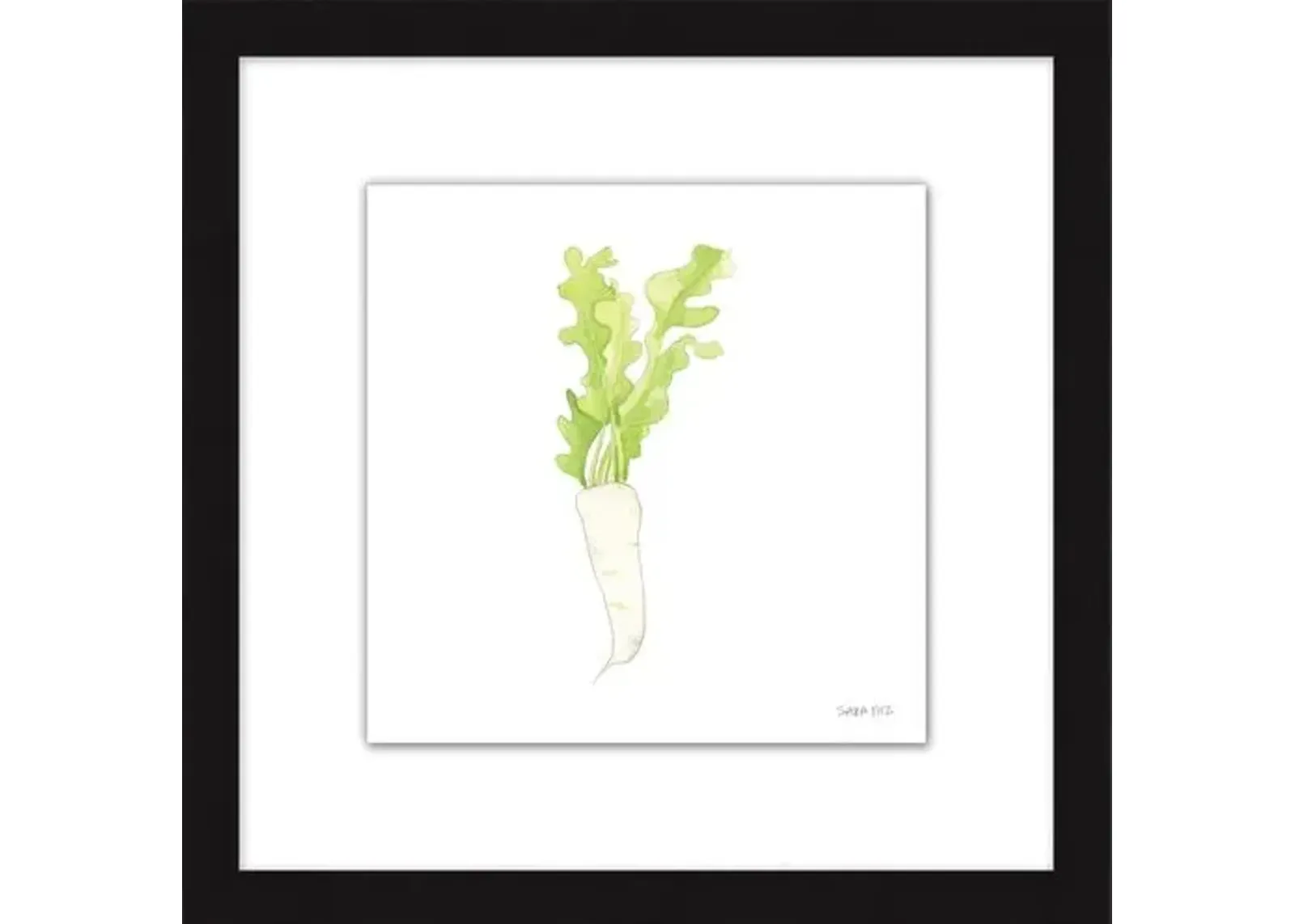 Sara Fitz - Daikon 2