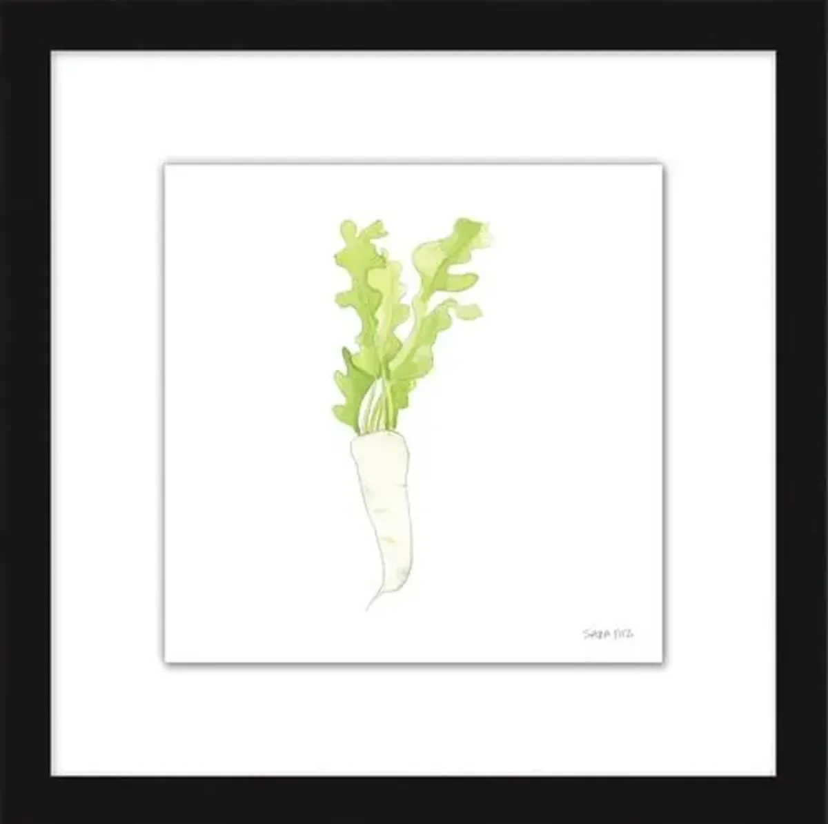 Sara Fitz - Daikon 2