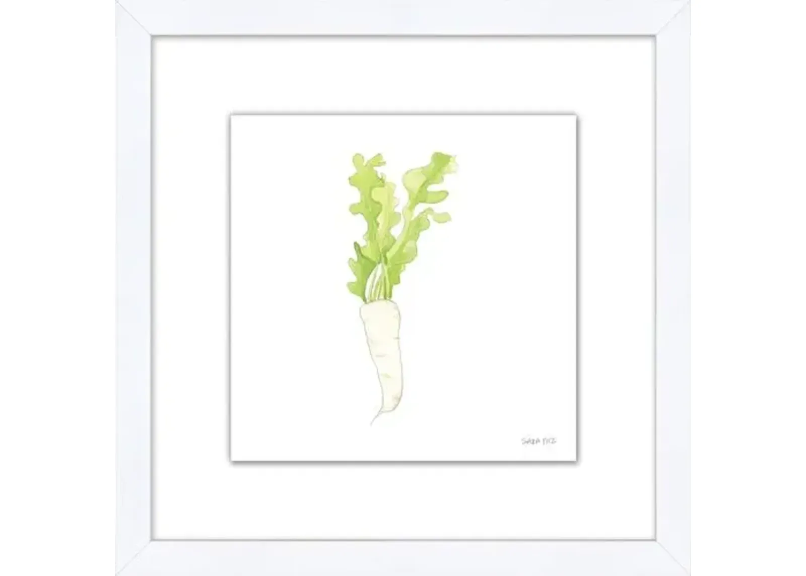 Sara Fitz - Daikon 2