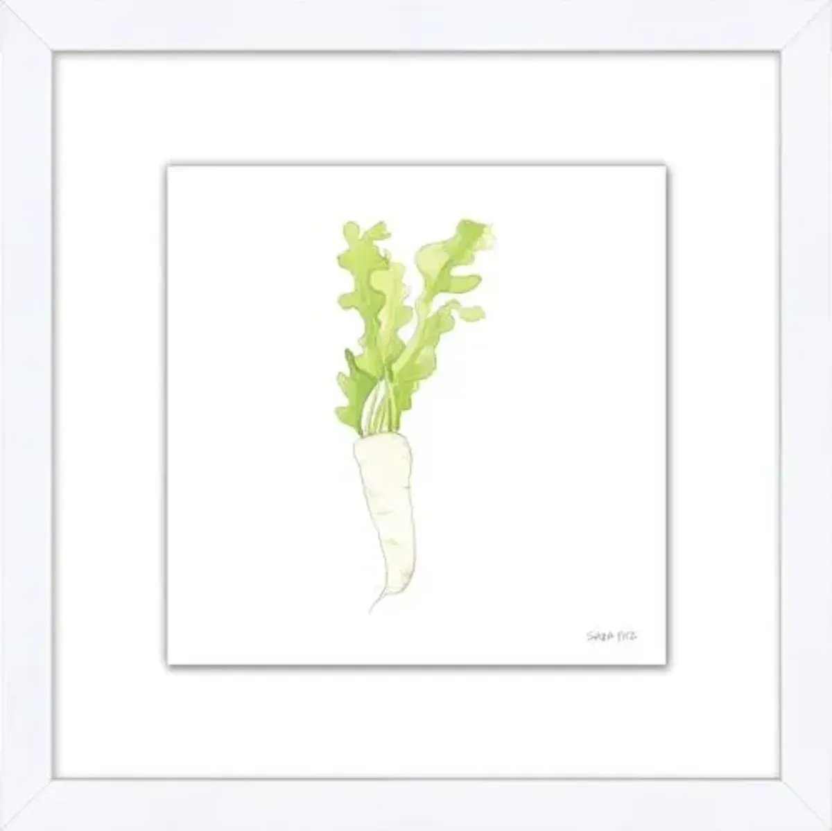 Sara Fitz - Daikon 2