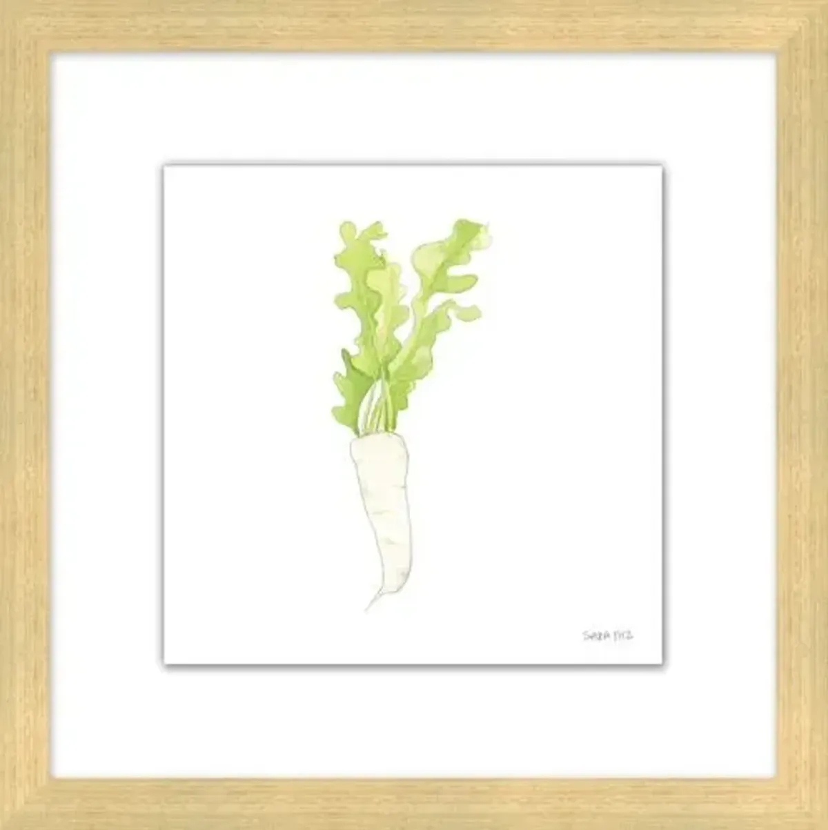 Sara Fitz - Daikon 2