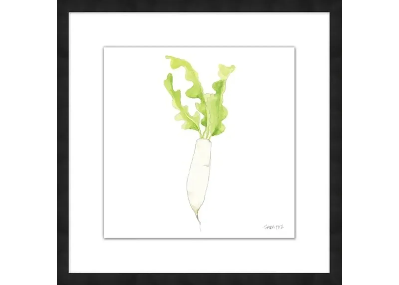 Sara Fitz - Daikon 1