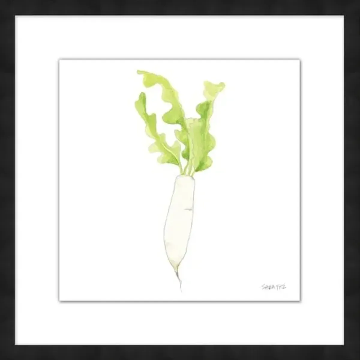 Sara Fitz - Daikon 1