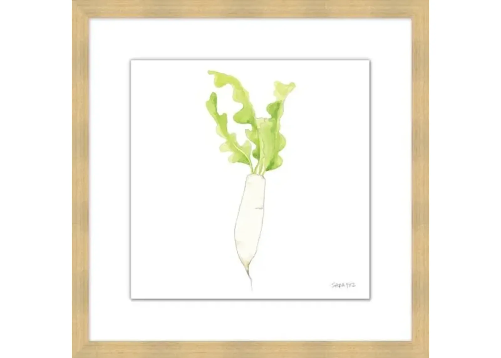 Sara Fitz - Daikon 1