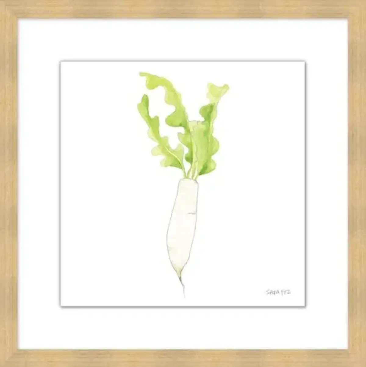 Sara Fitz - Daikon 1