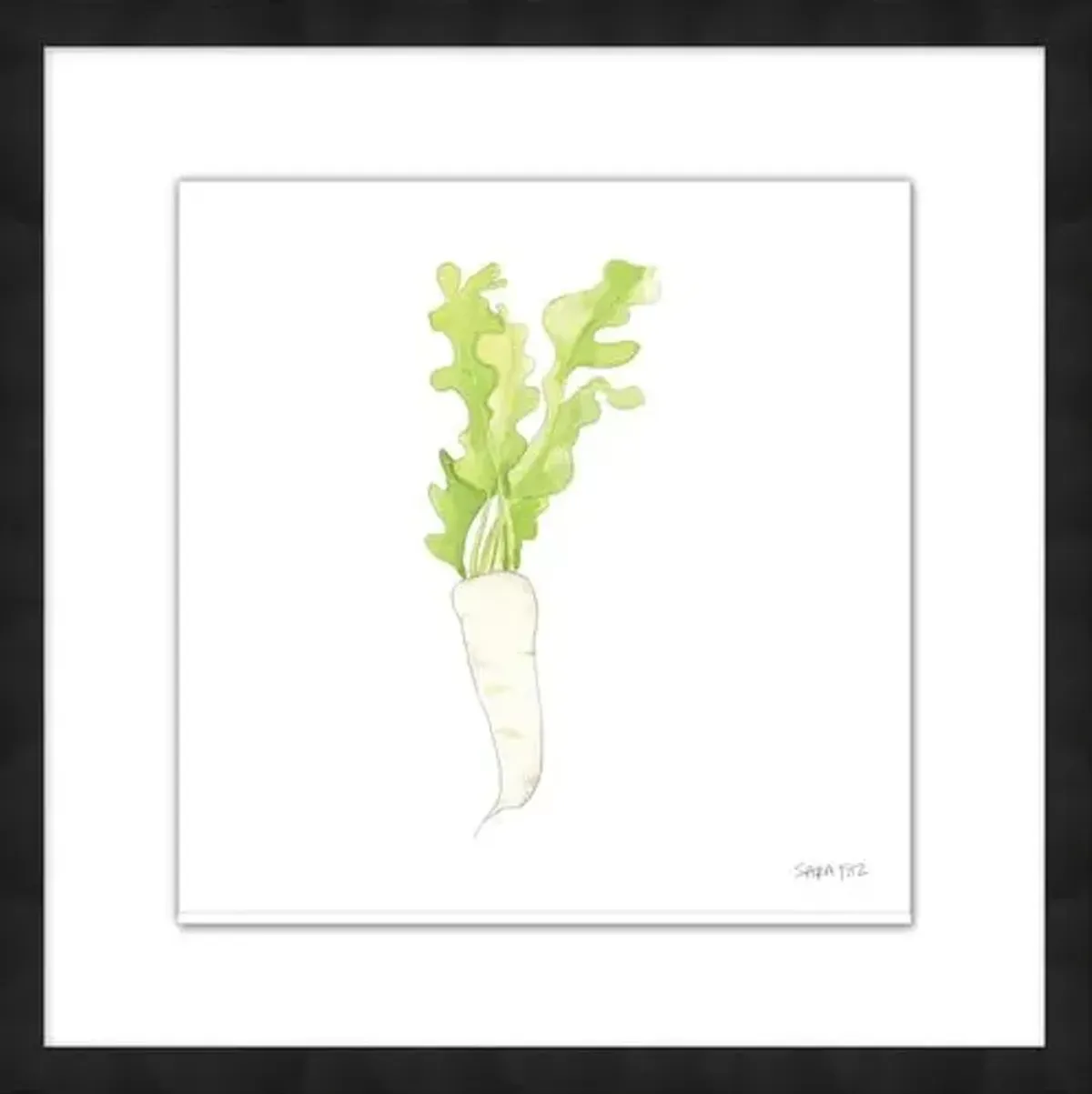 Sara Fitz - Daikon 2