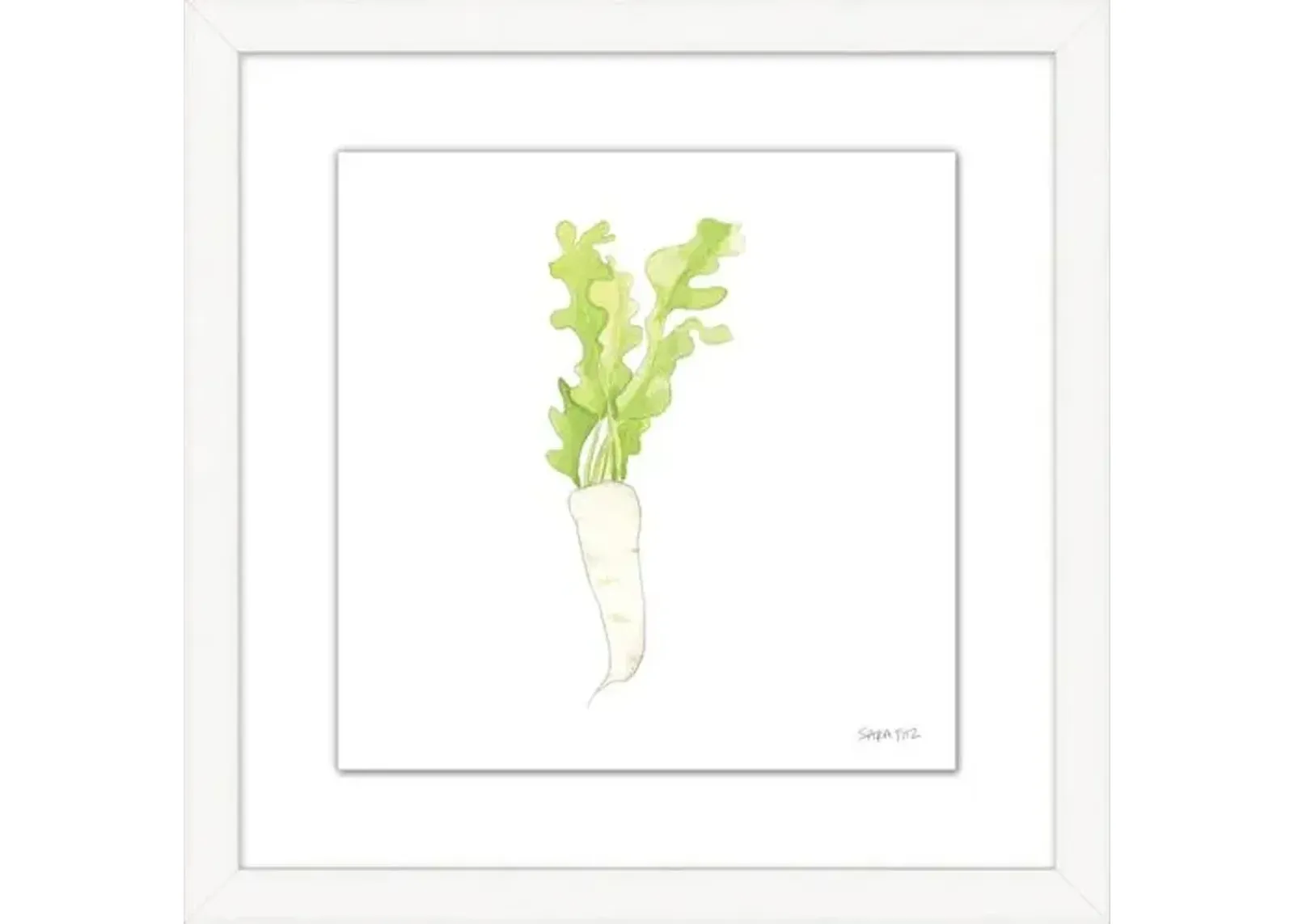 Sara Fitz - Daikon 2