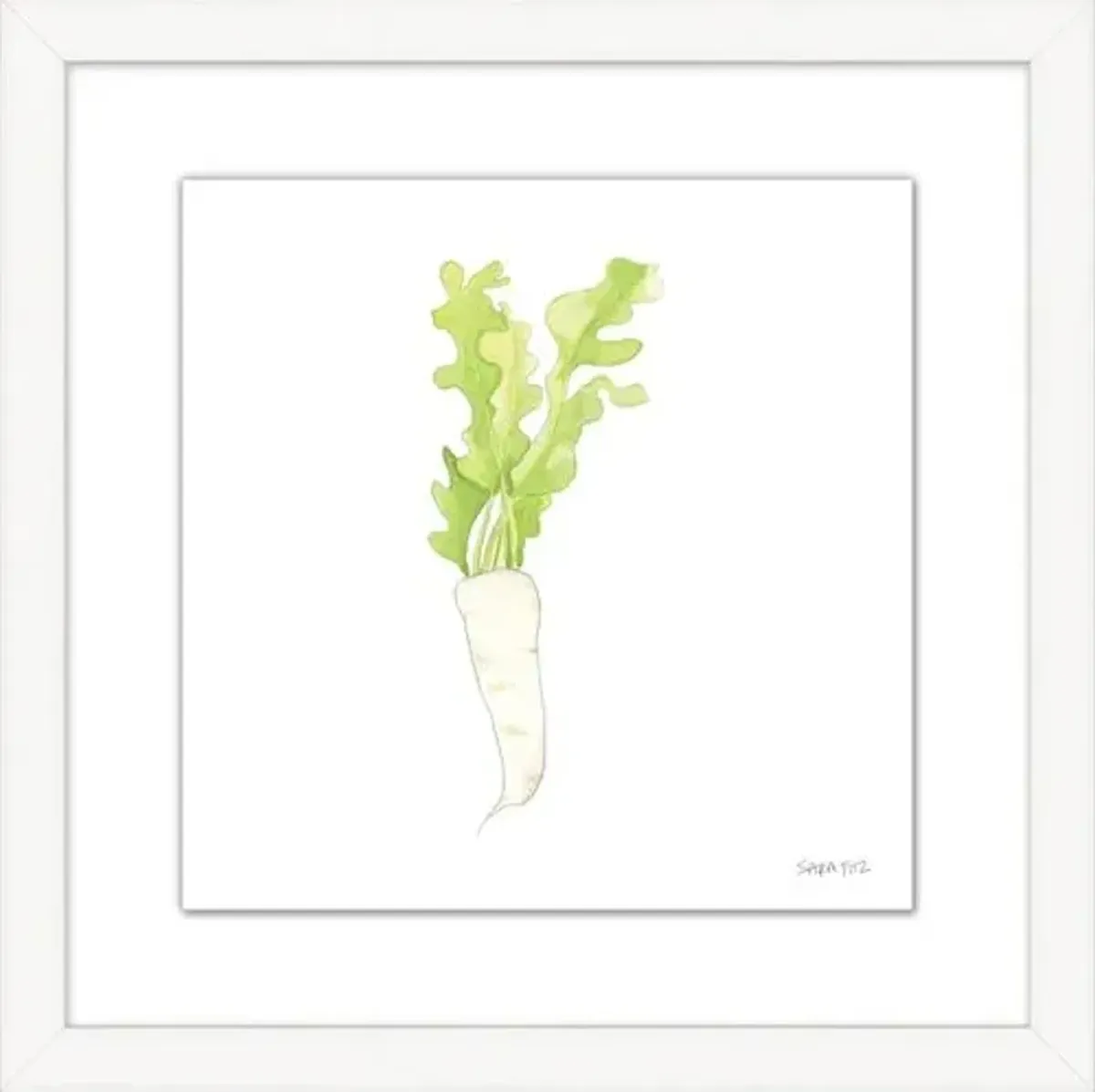 Sara Fitz - Daikon 2