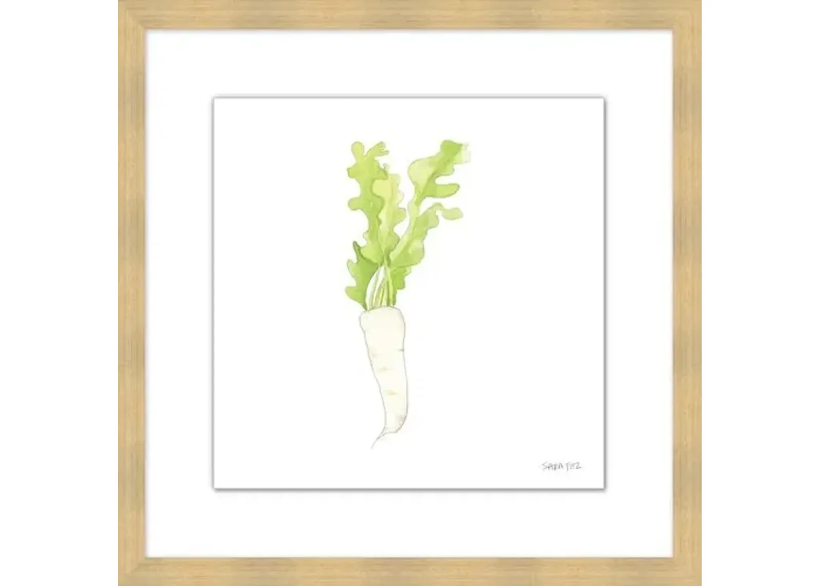 Sara Fitz - Daikon 2