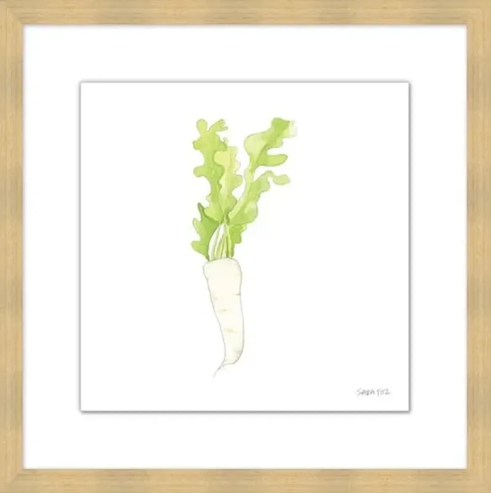 Sara Fitz - Daikon 2