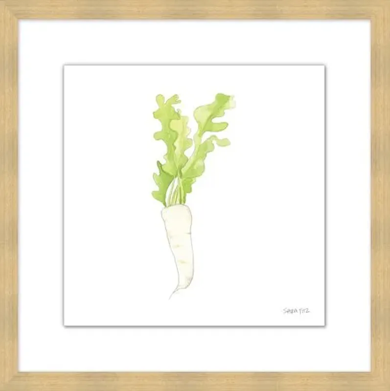 Sara Fitz - Daikon 2