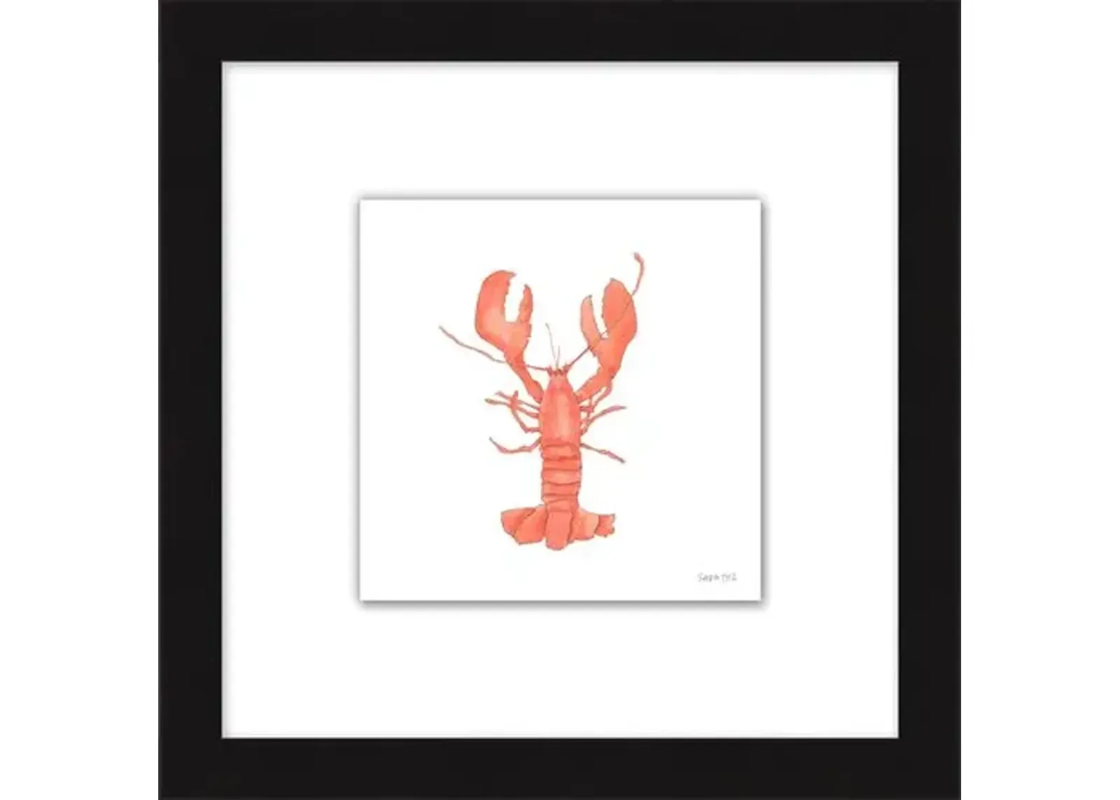 Sara Fitz - Lobster