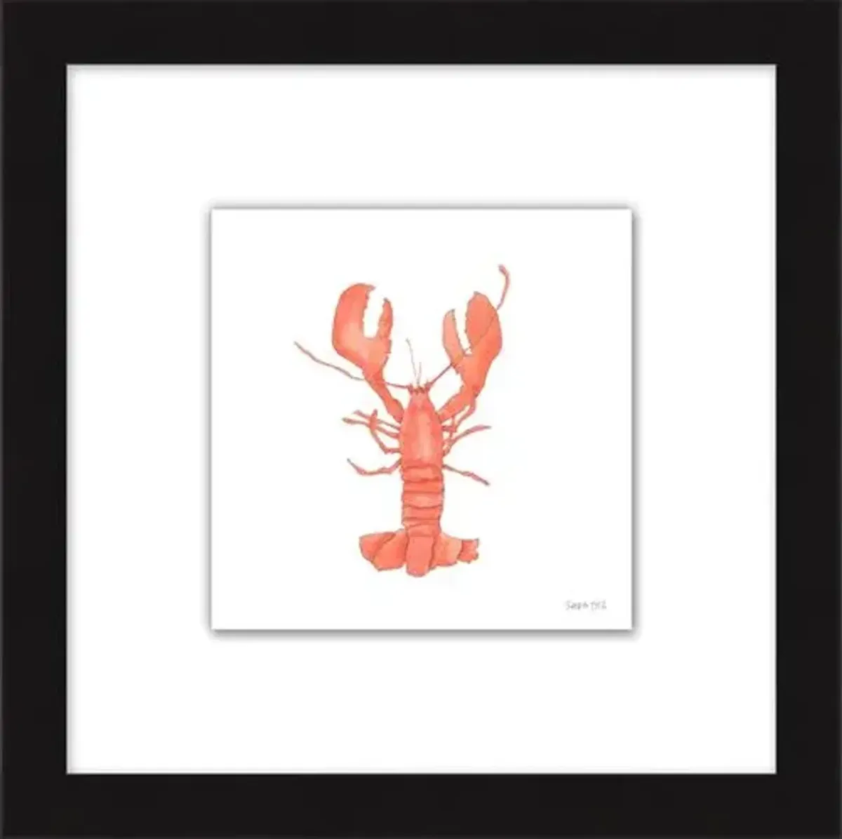 Sara Fitz - Lobster