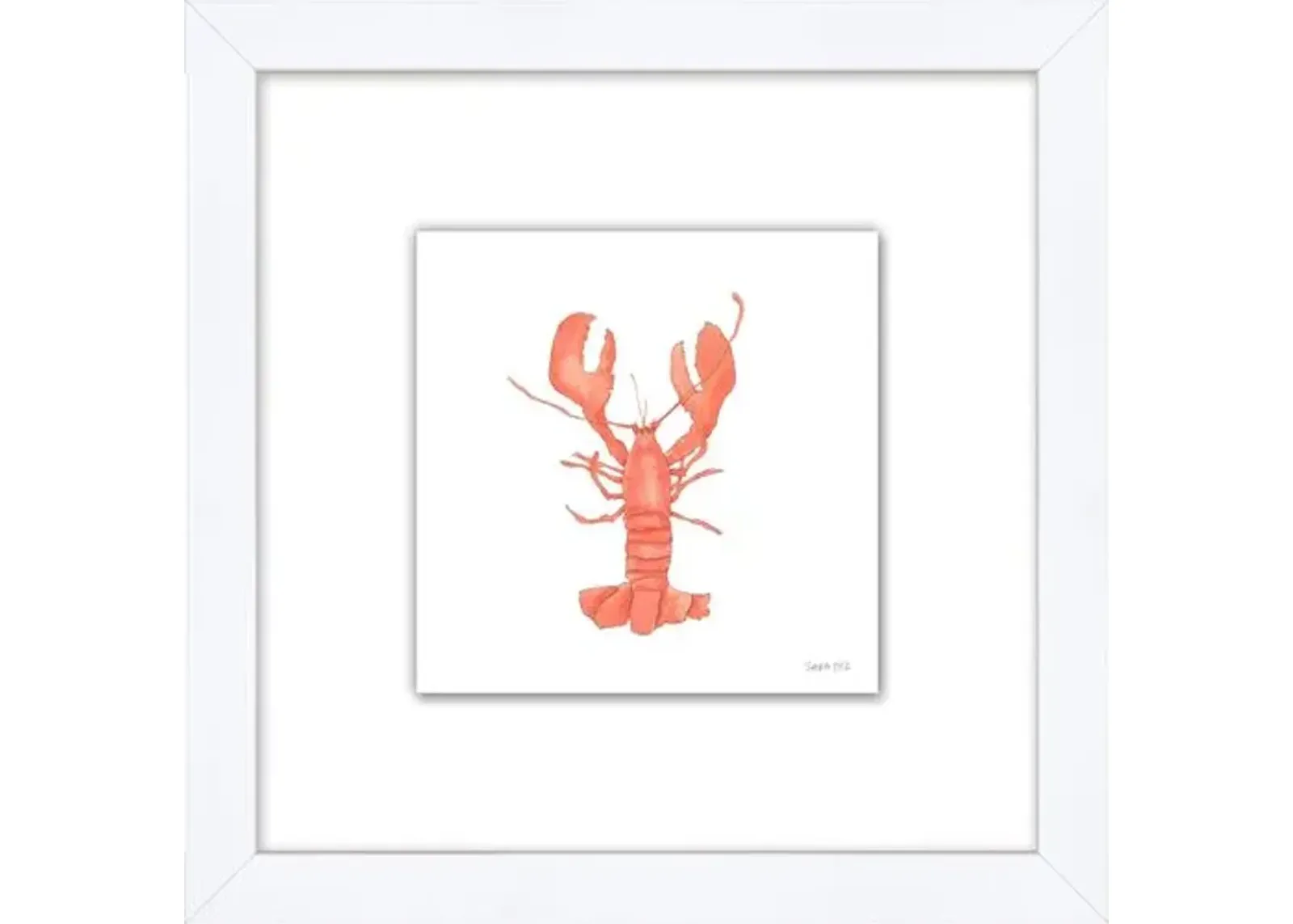 Sara Fitz - Lobster