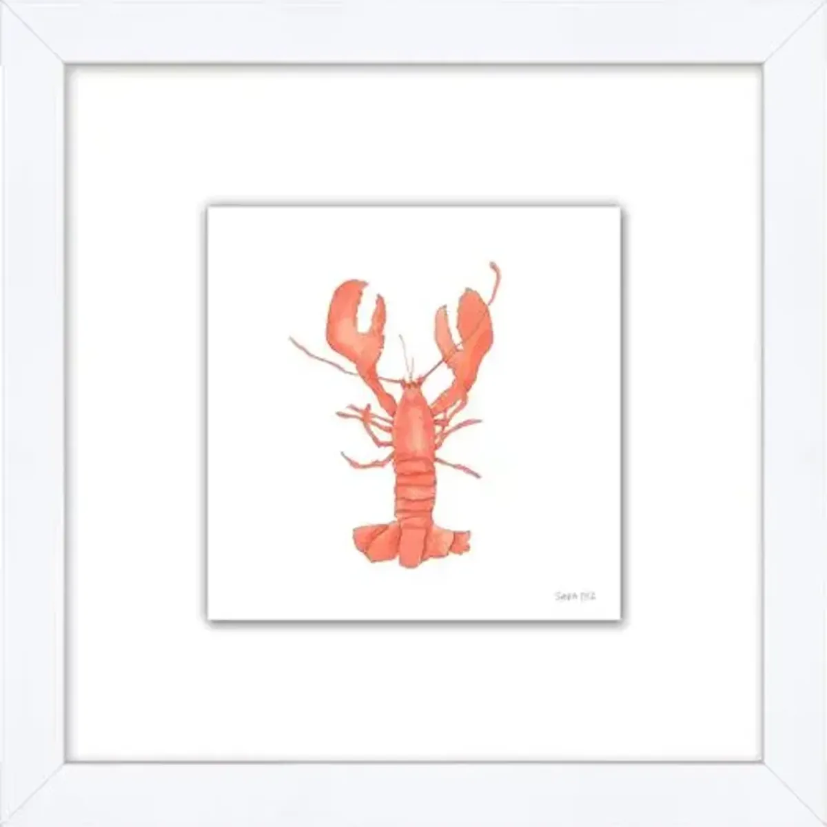 Sara Fitz - Lobster