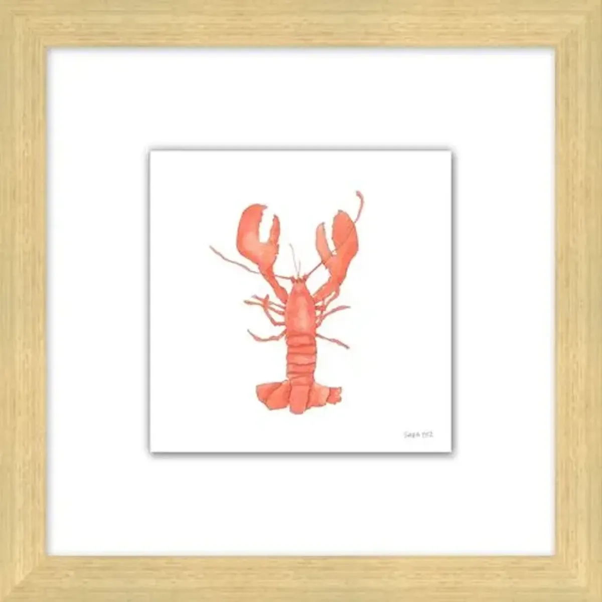 Sara Fitz - Lobster