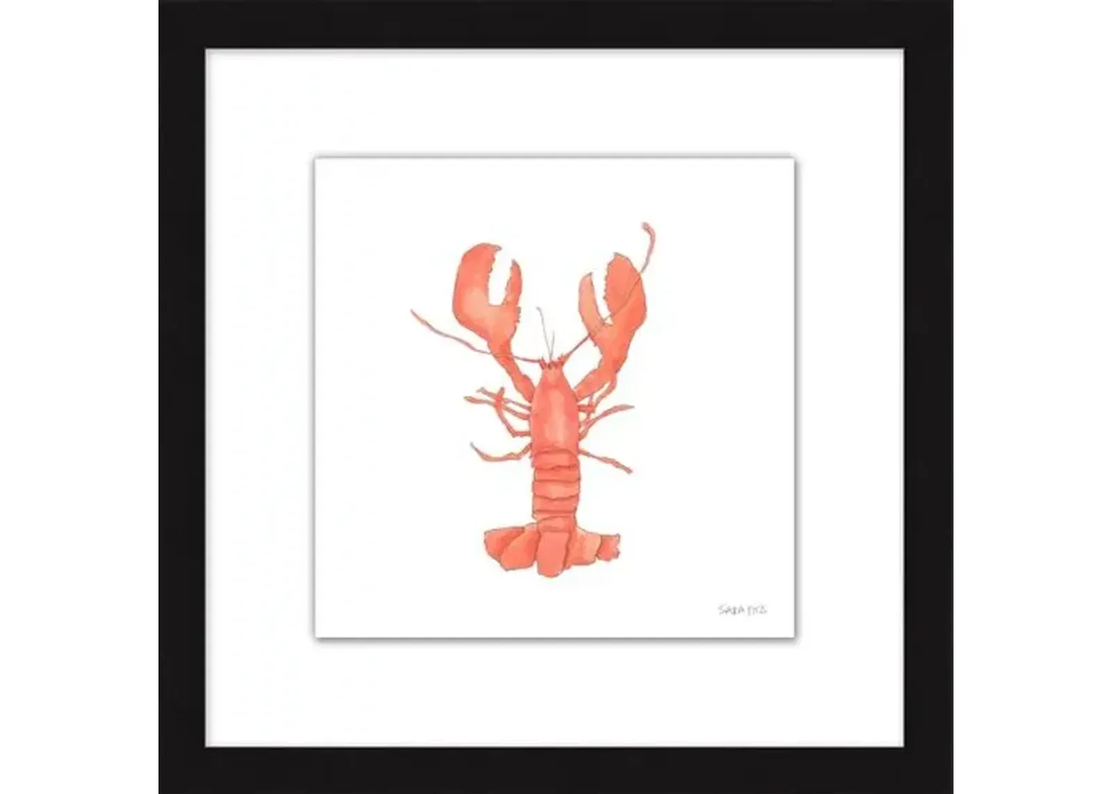 Sara Fitz - Lobster