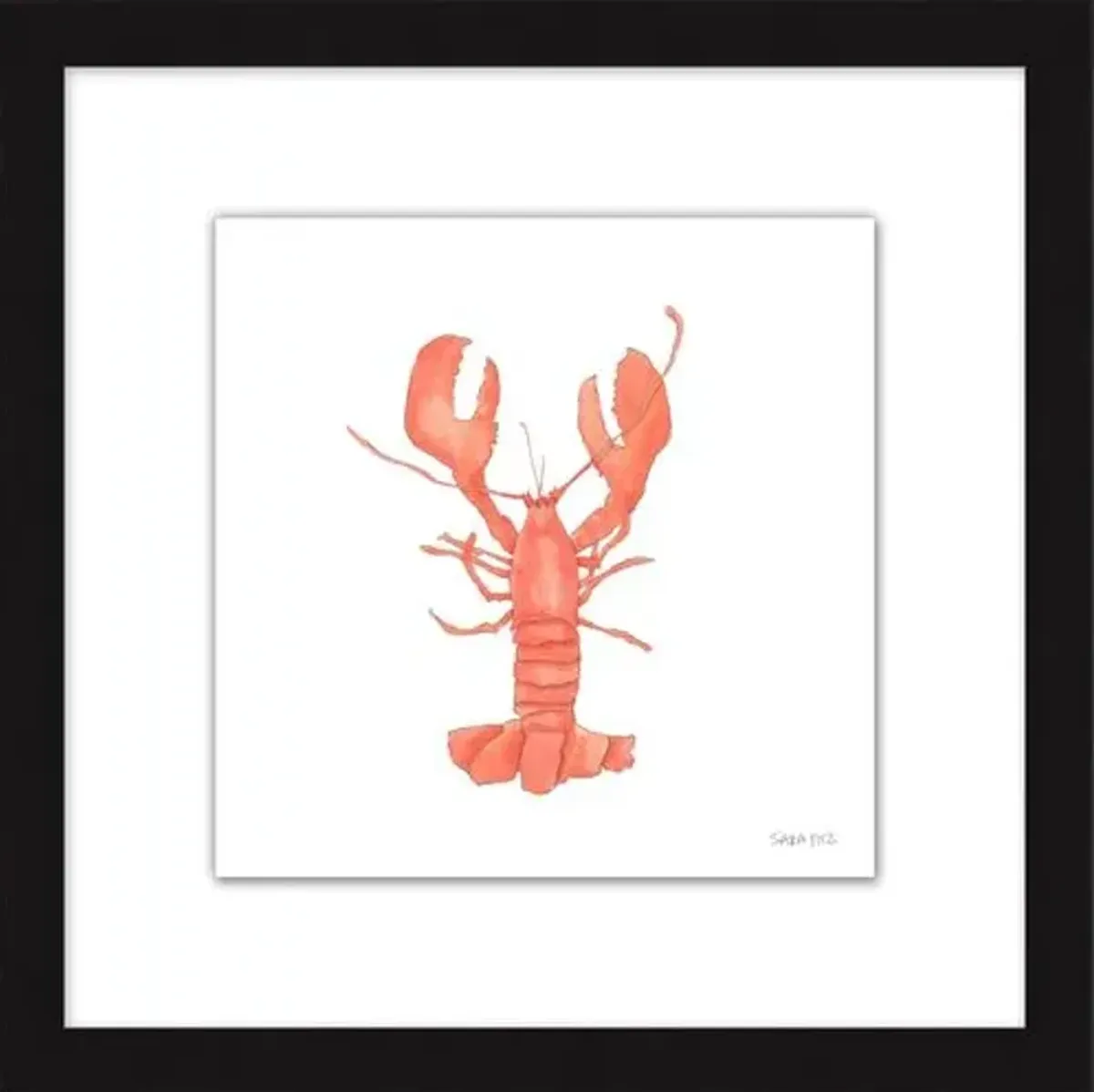 Sara Fitz - Lobster