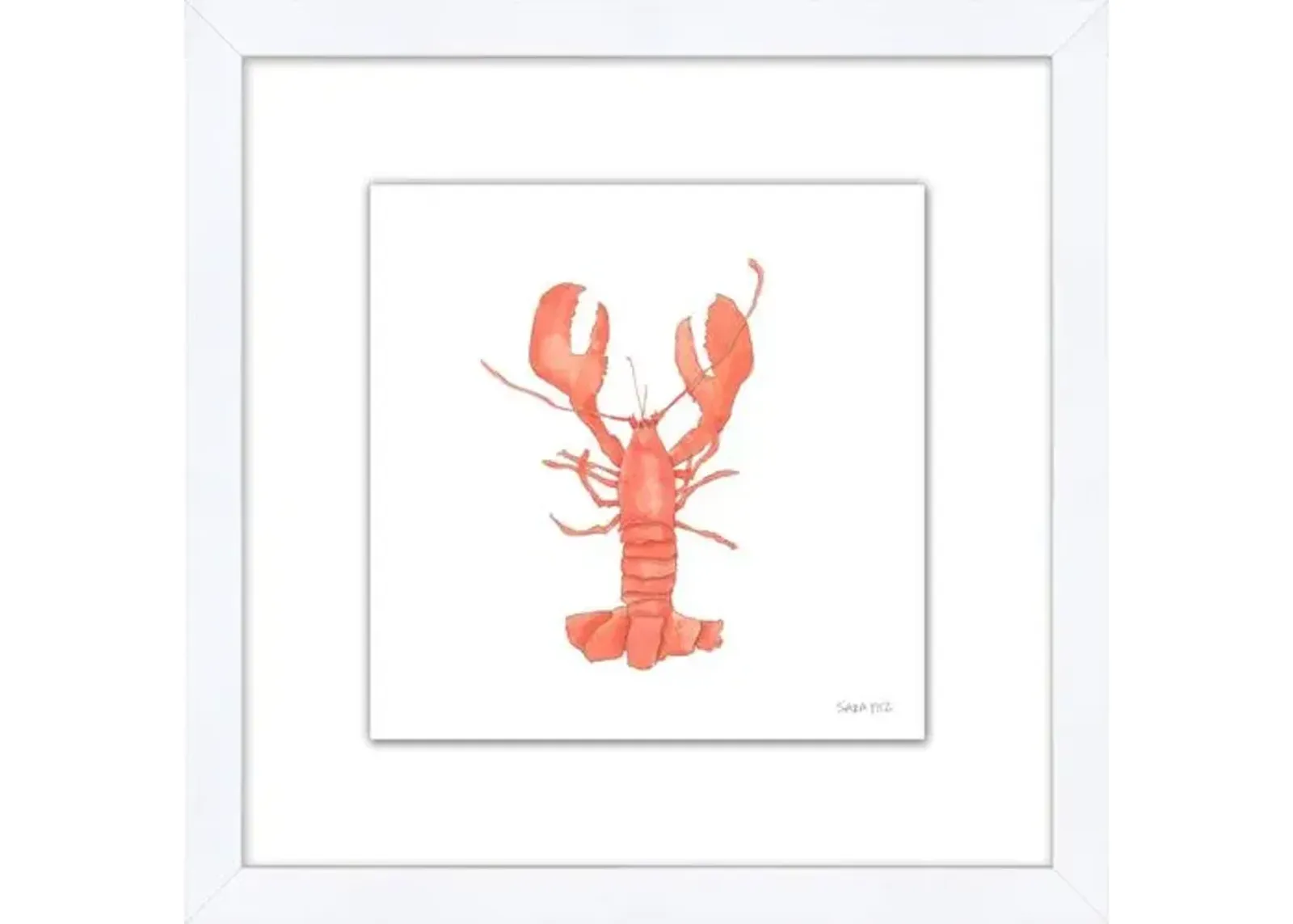 Sara Fitz - Lobster