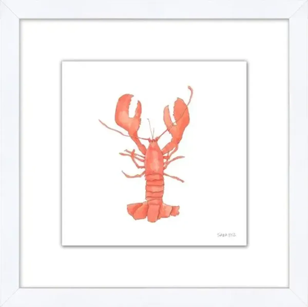 Sara Fitz - Lobster