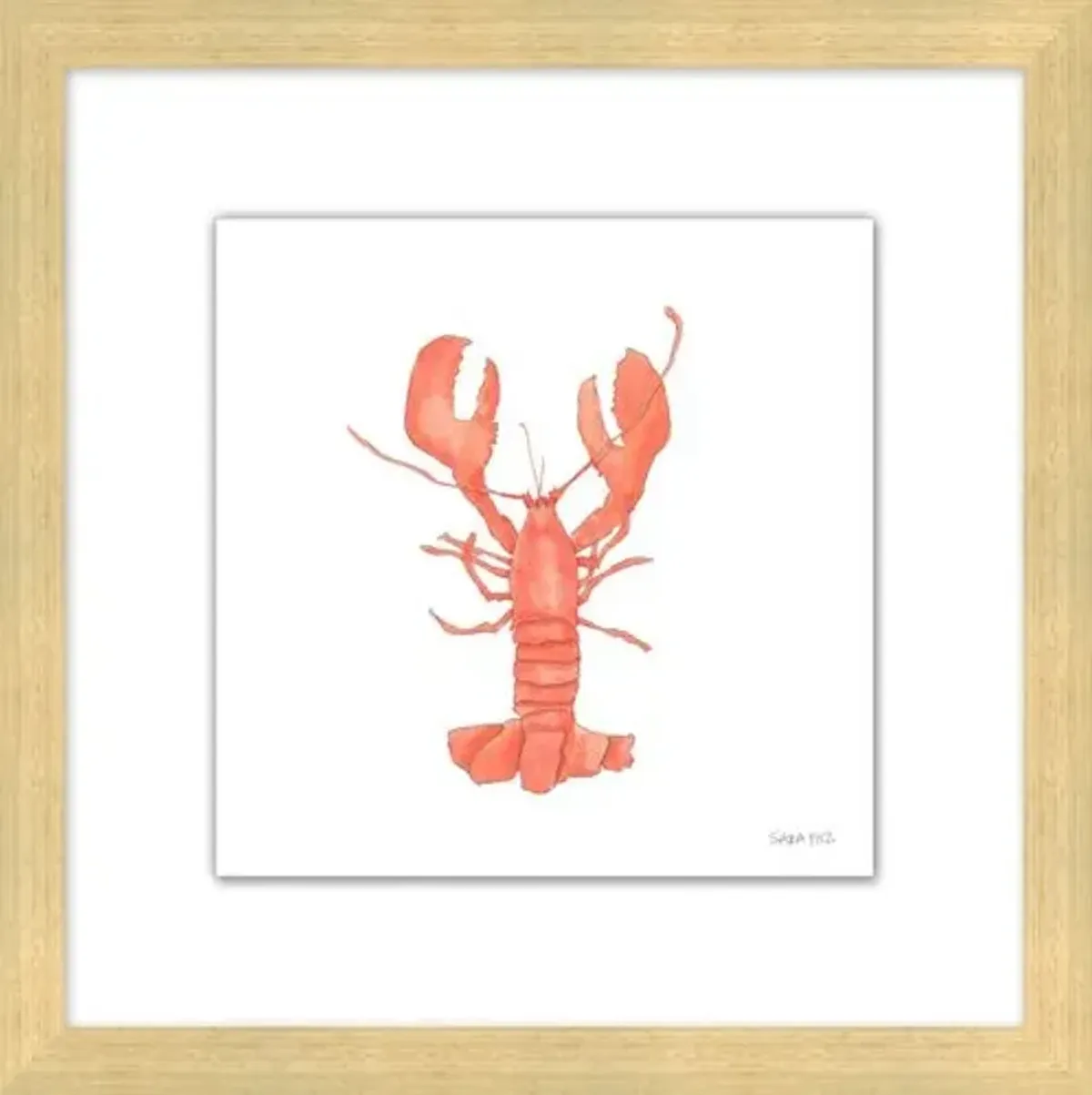 Sara Fitz - Lobster