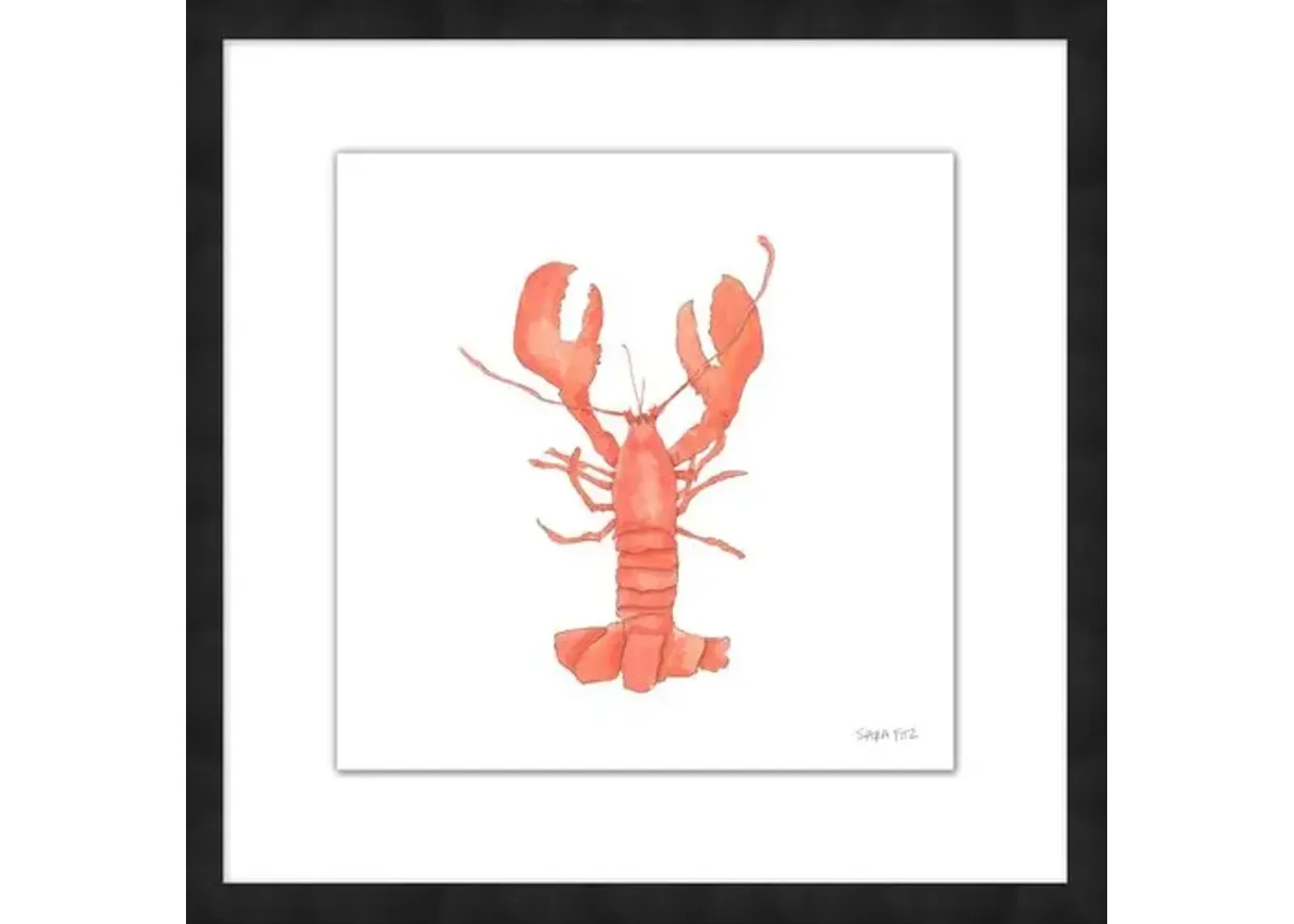 Sara Fitz - Lobster