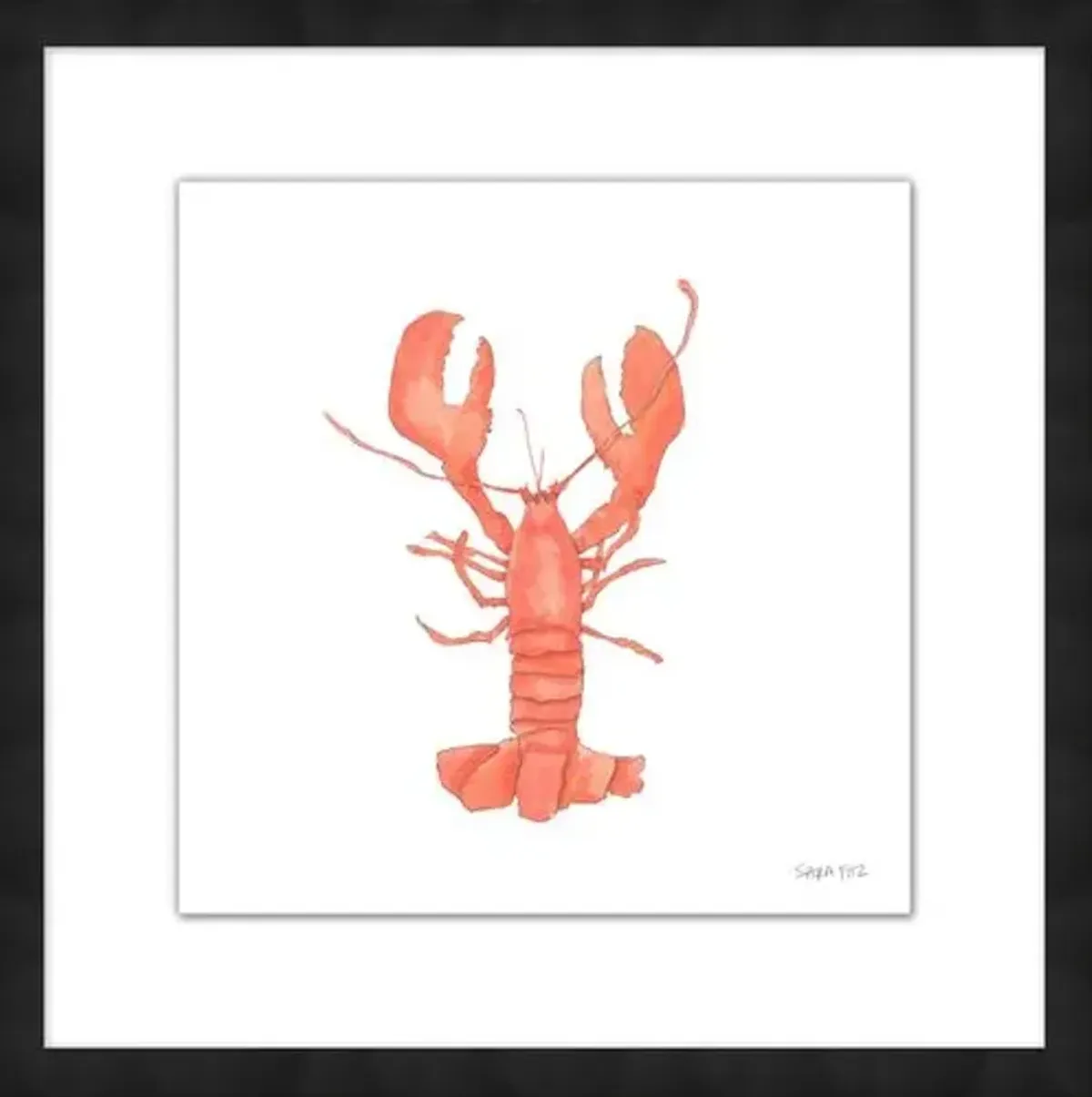 Sara Fitz - Lobster