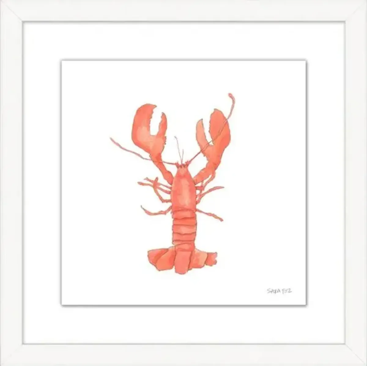 Sara Fitz - Lobster