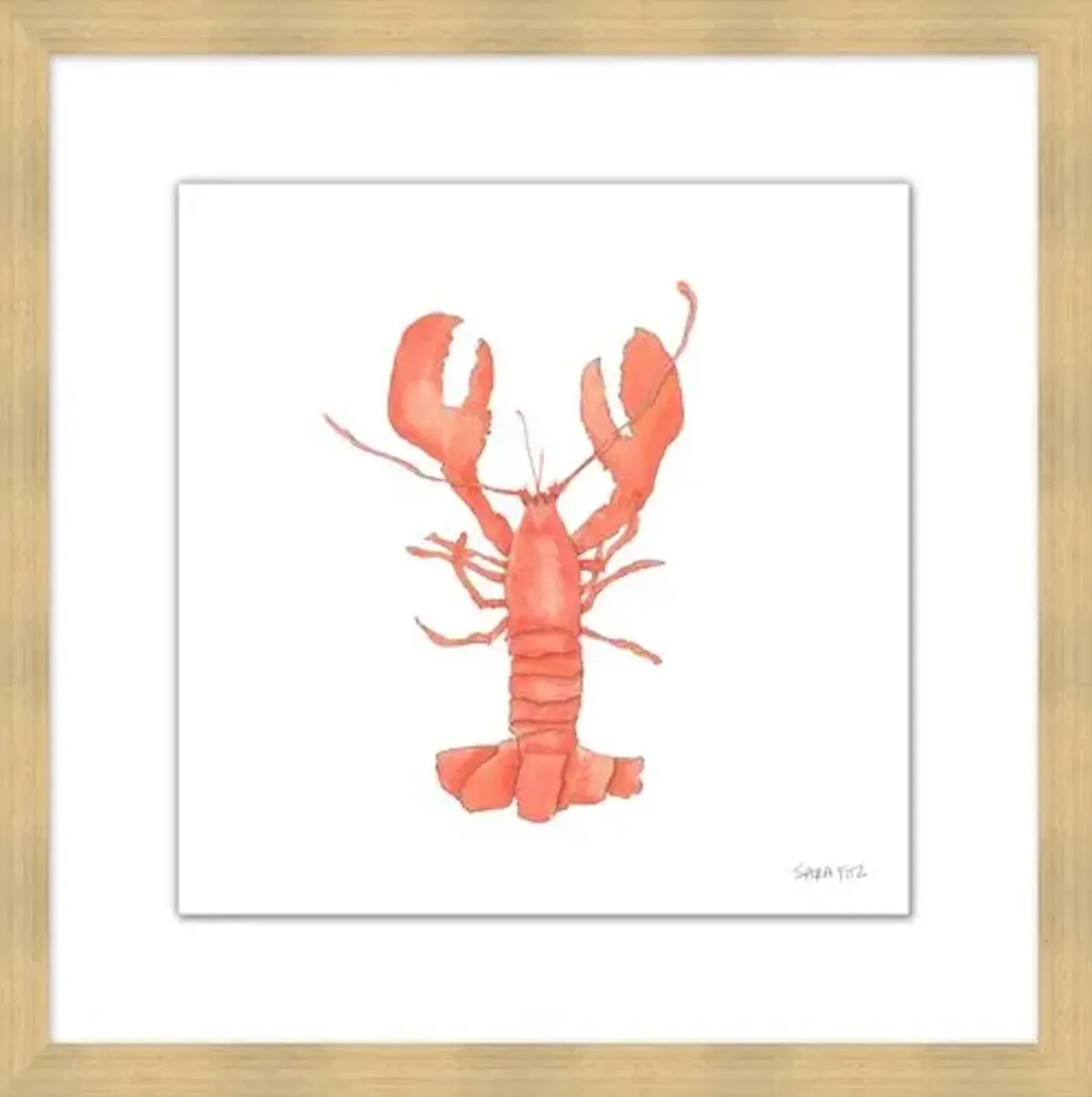 Sara Fitz - Lobster