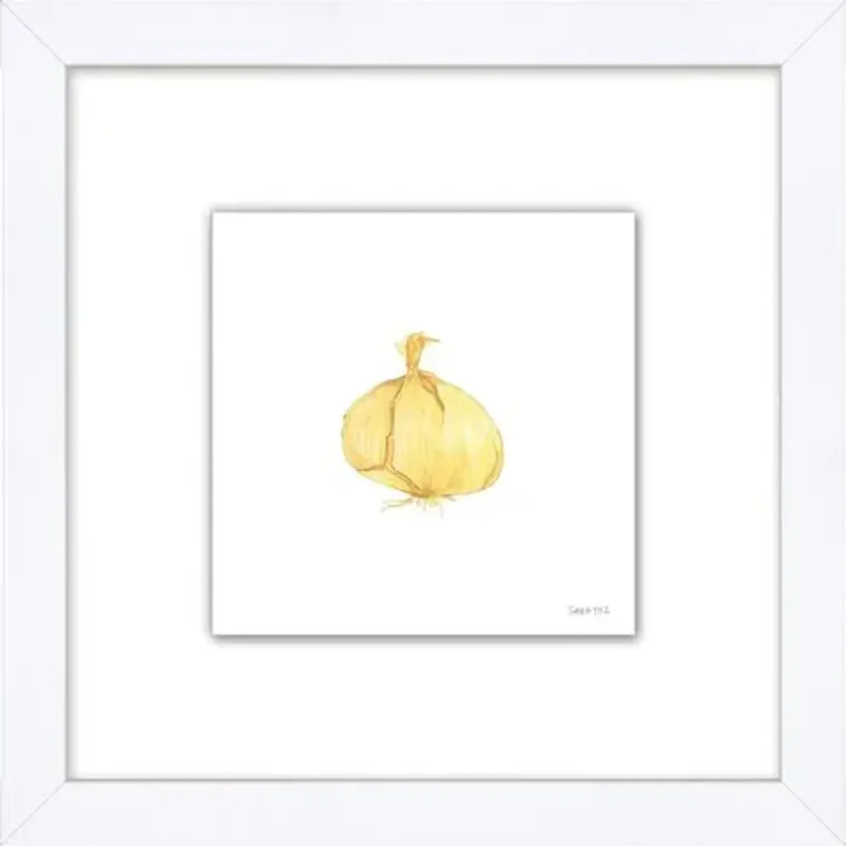 Sara Fitz - Onion 2