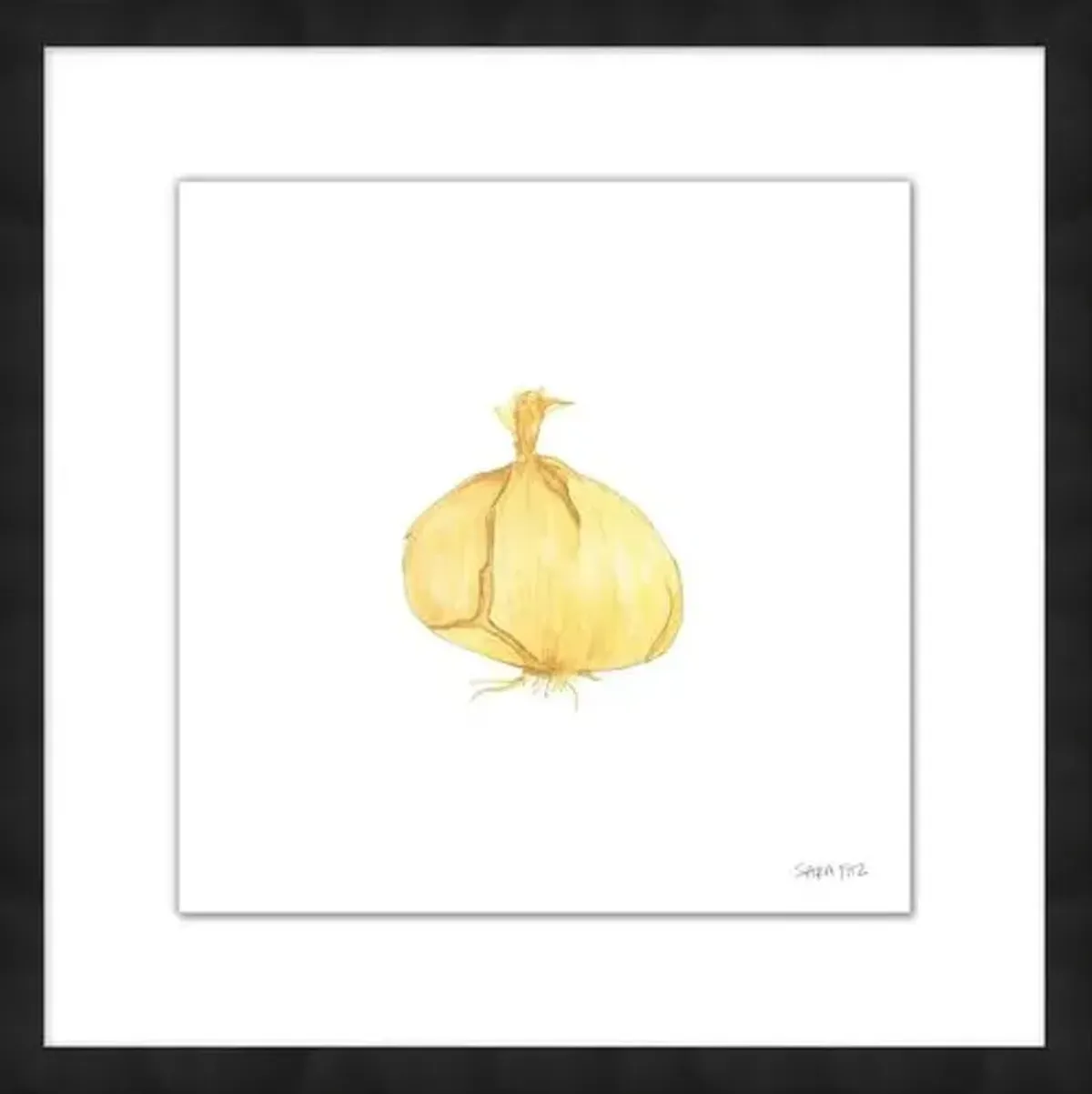 Sara Fitz - Onion 2