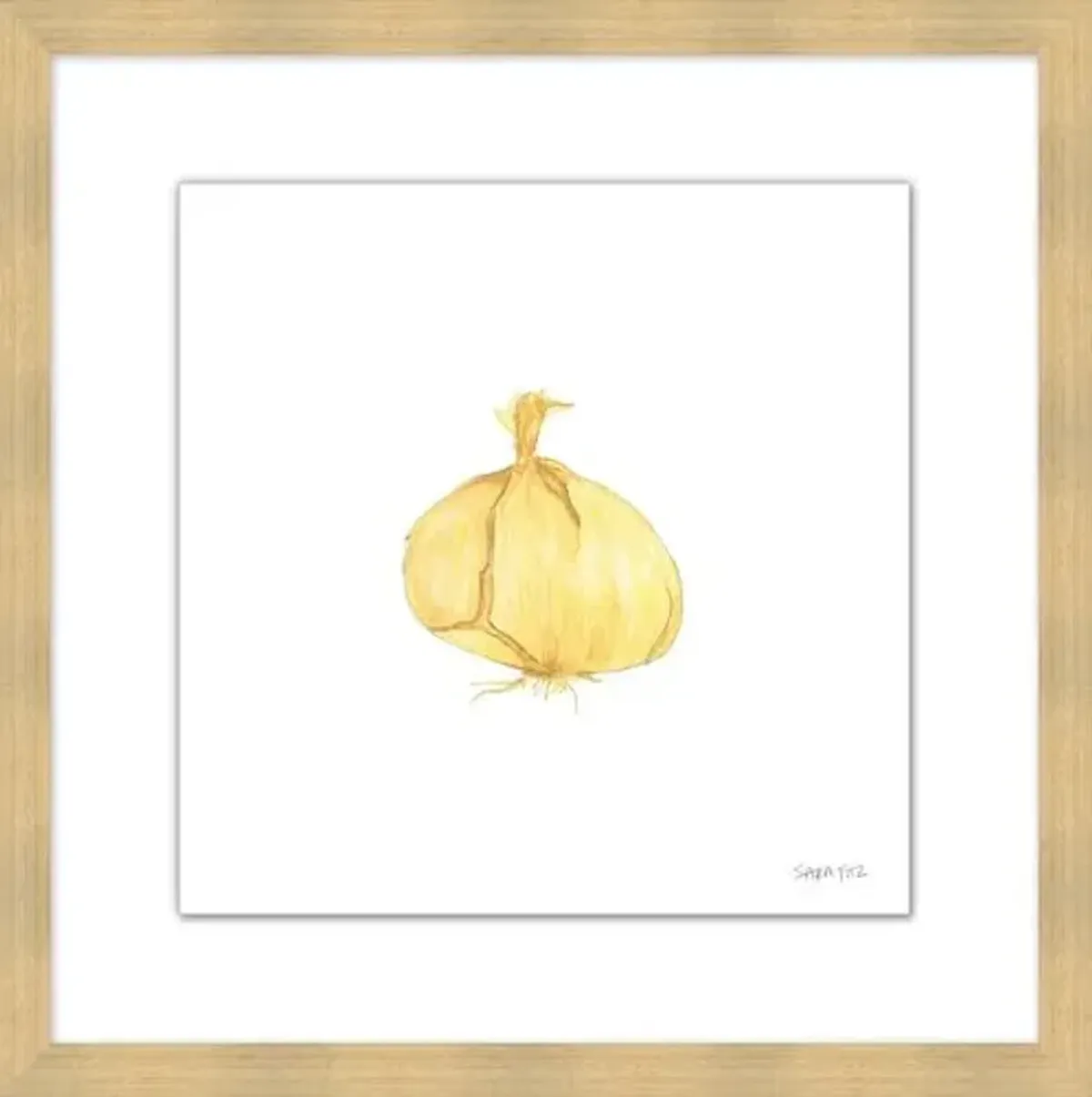 Sara Fitz - Onion 2