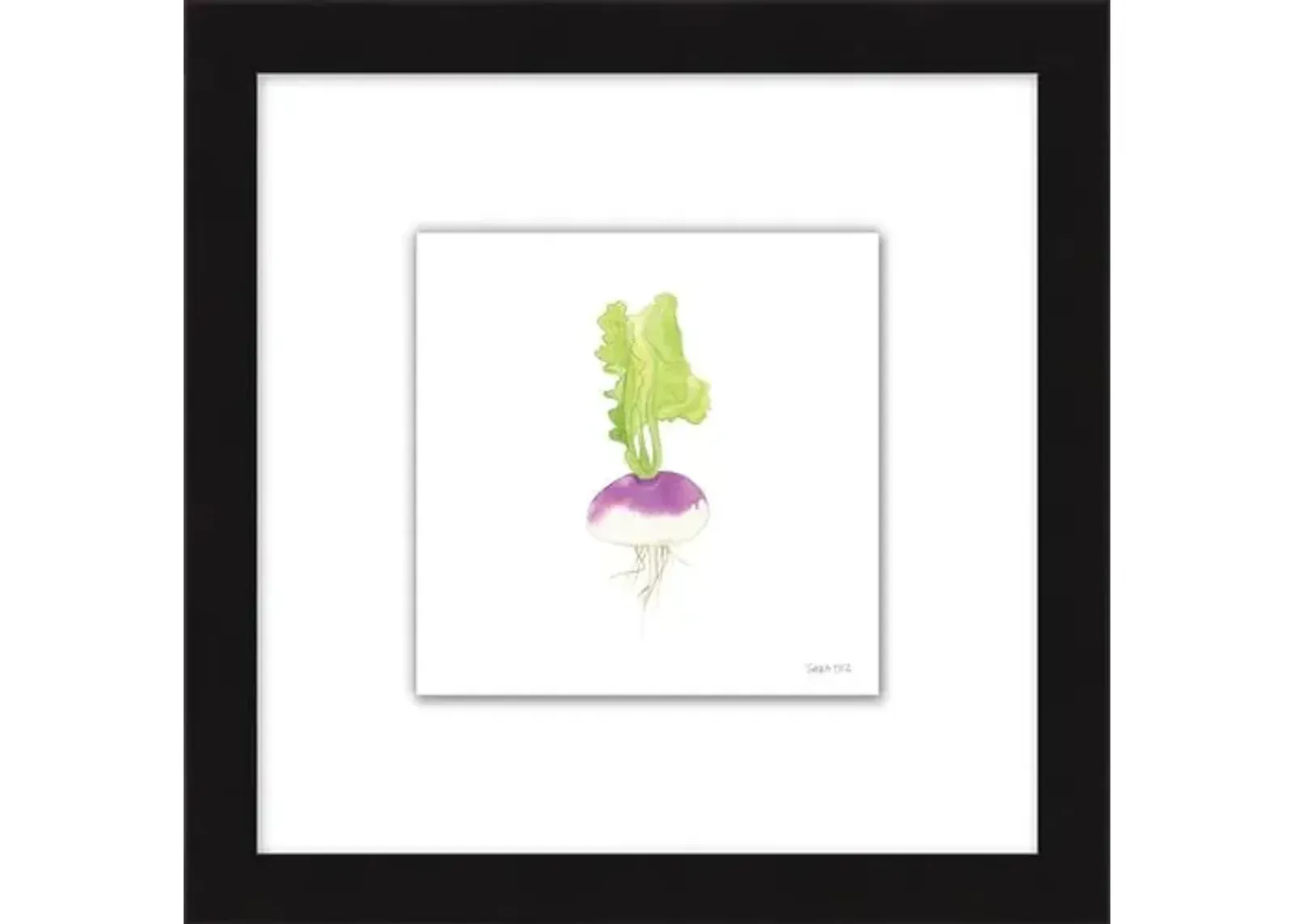 Sara Fitz - Turnip 1