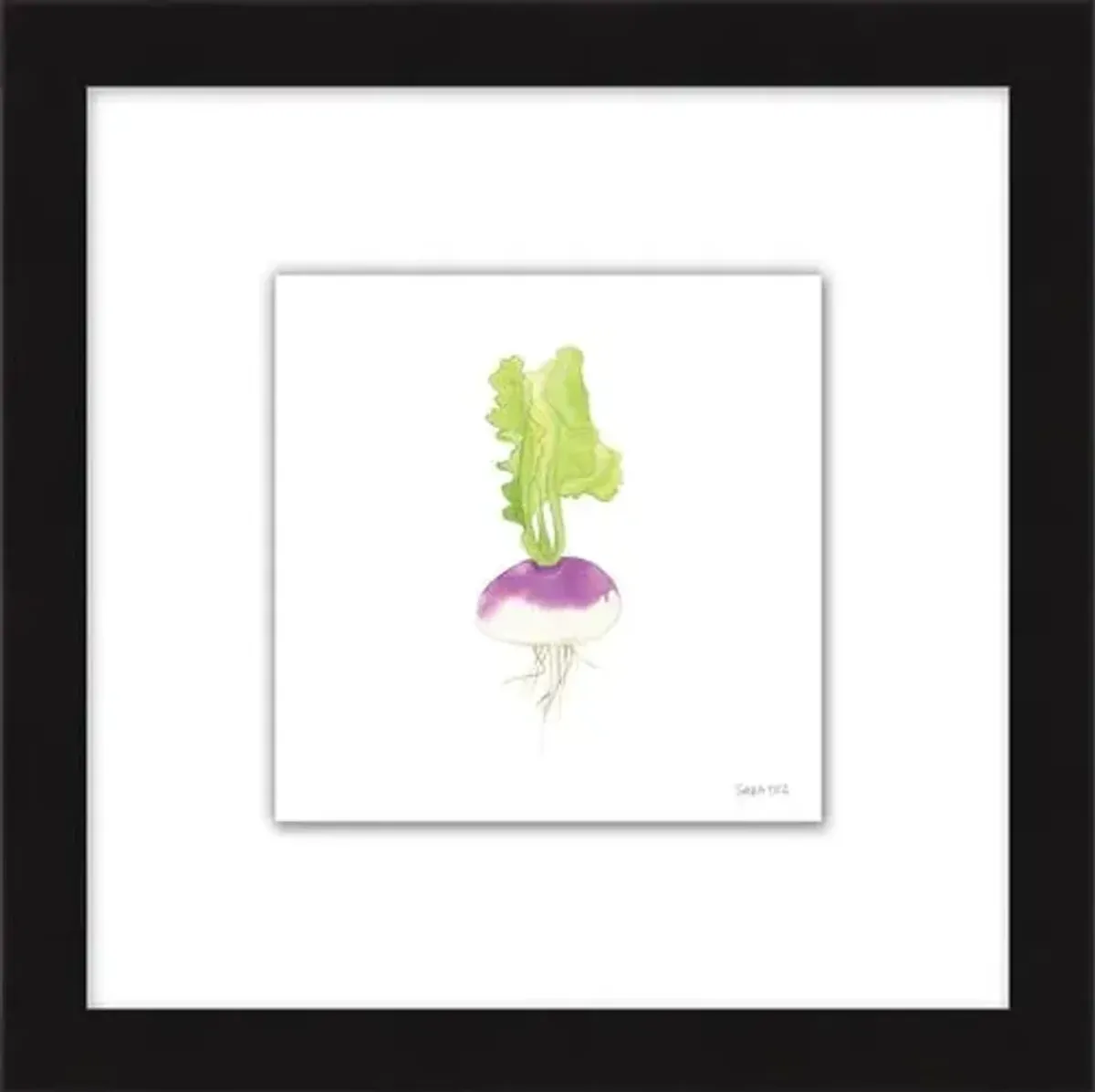 Sara Fitz - Turnip 1