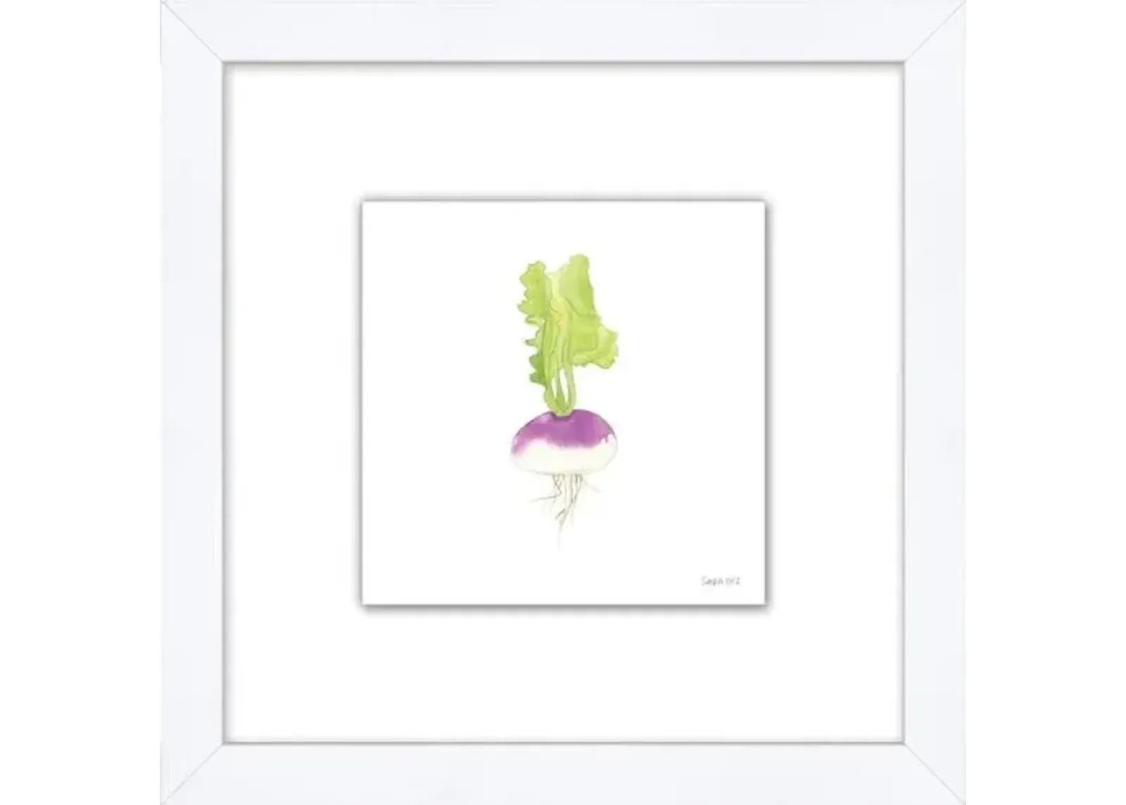 Sara Fitz - Turnip 1