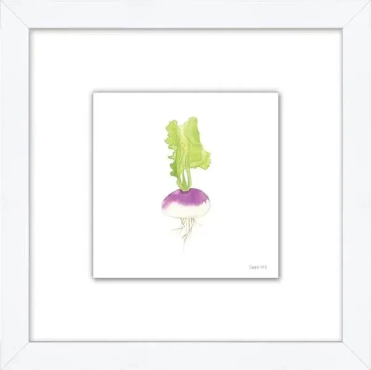 Sara Fitz - Turnip 1