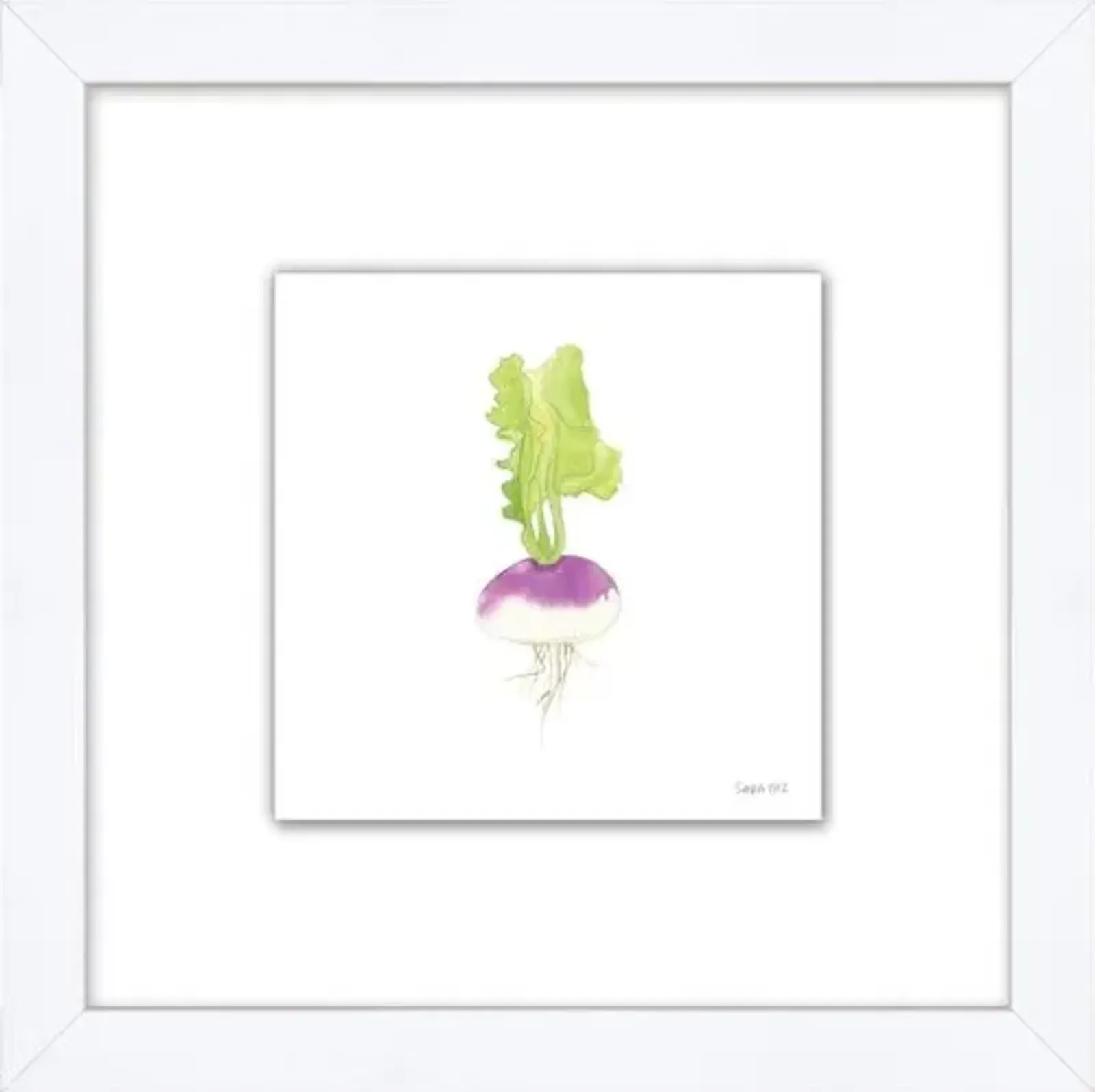 Sara Fitz - Turnip 1