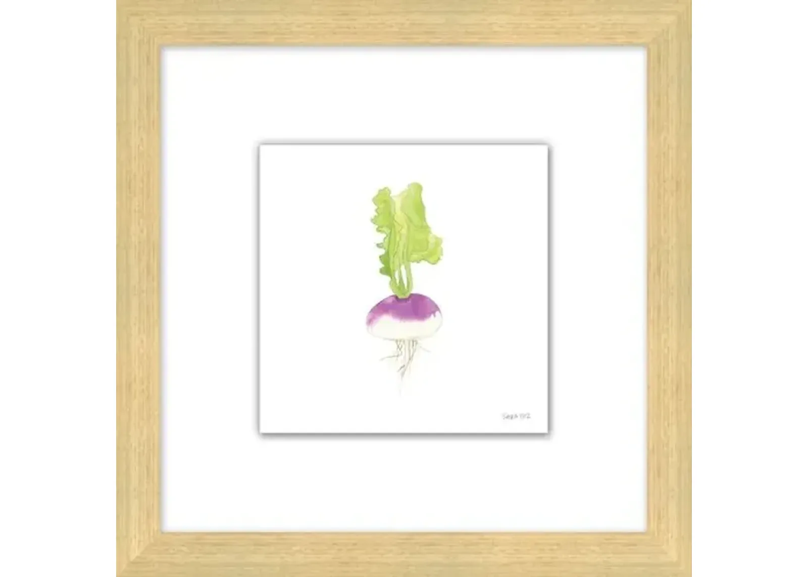 Sara Fitz - Turnip 1