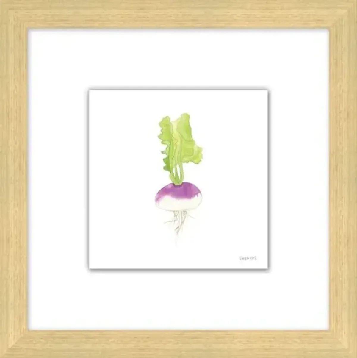 Sara Fitz - Turnip 1