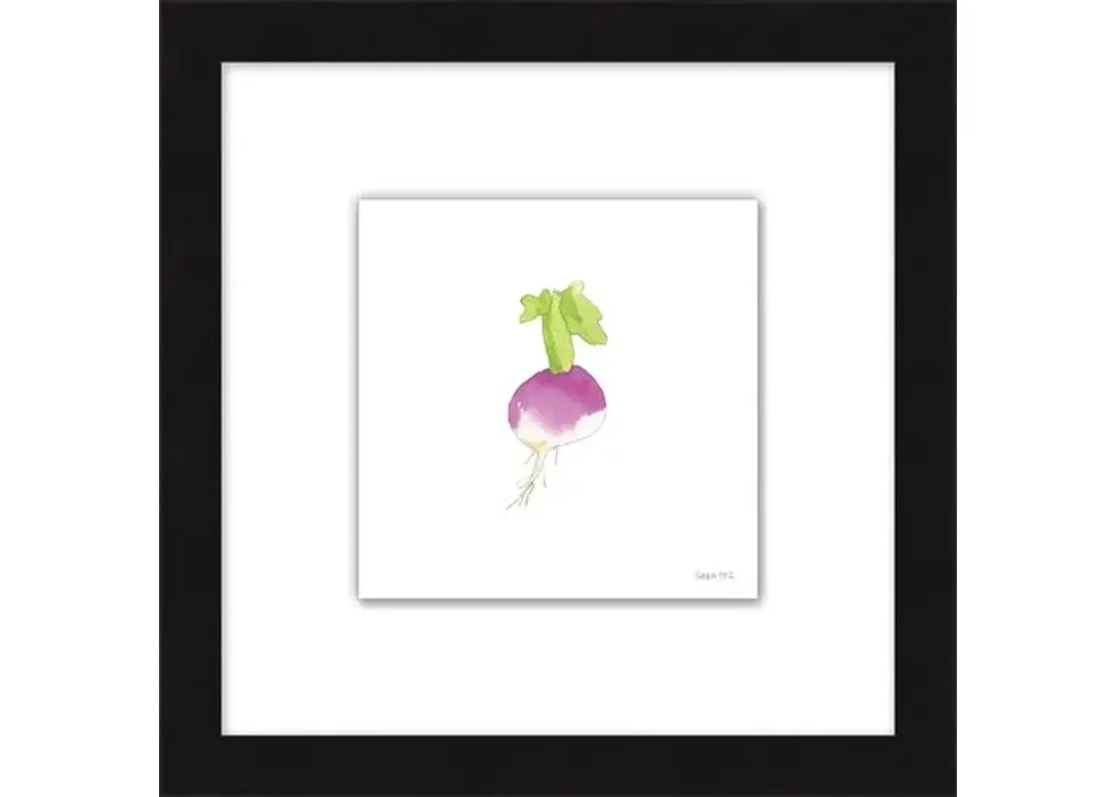 Sara Fitz - Turnip 2