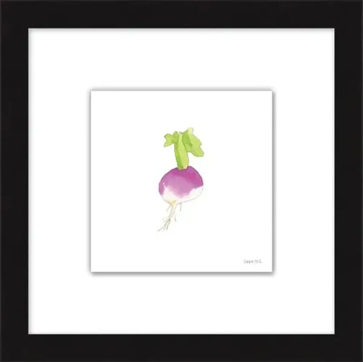 Sara Fitz - Turnip 2