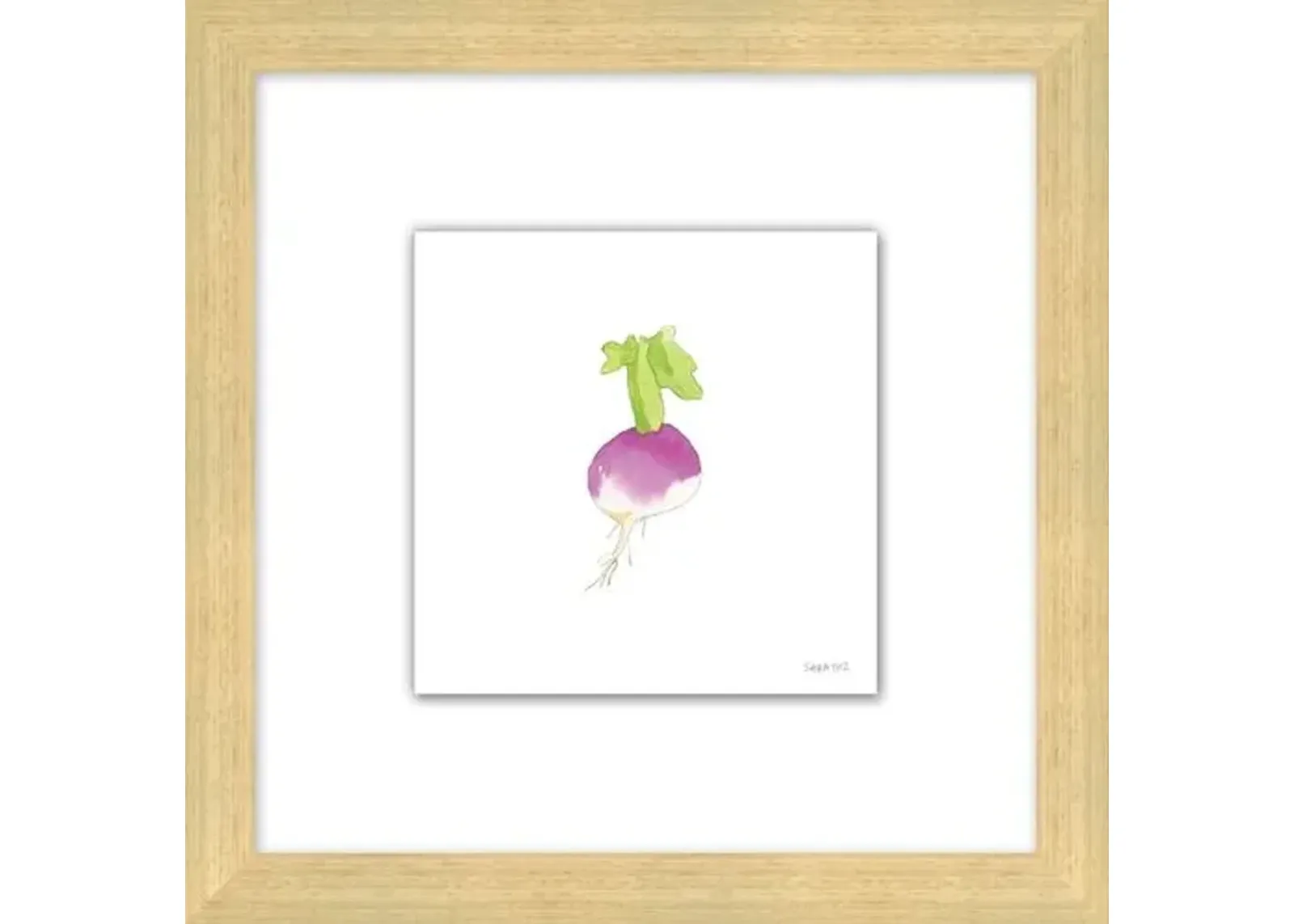 Sara Fitz - Turnip 2