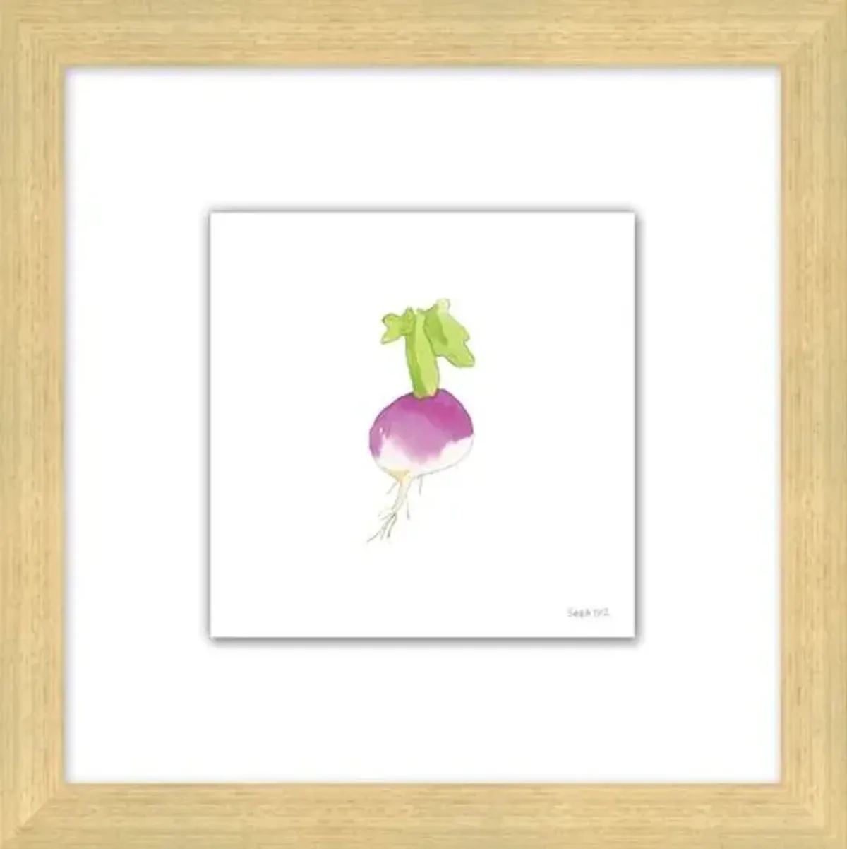 Sara Fitz - Turnip 2