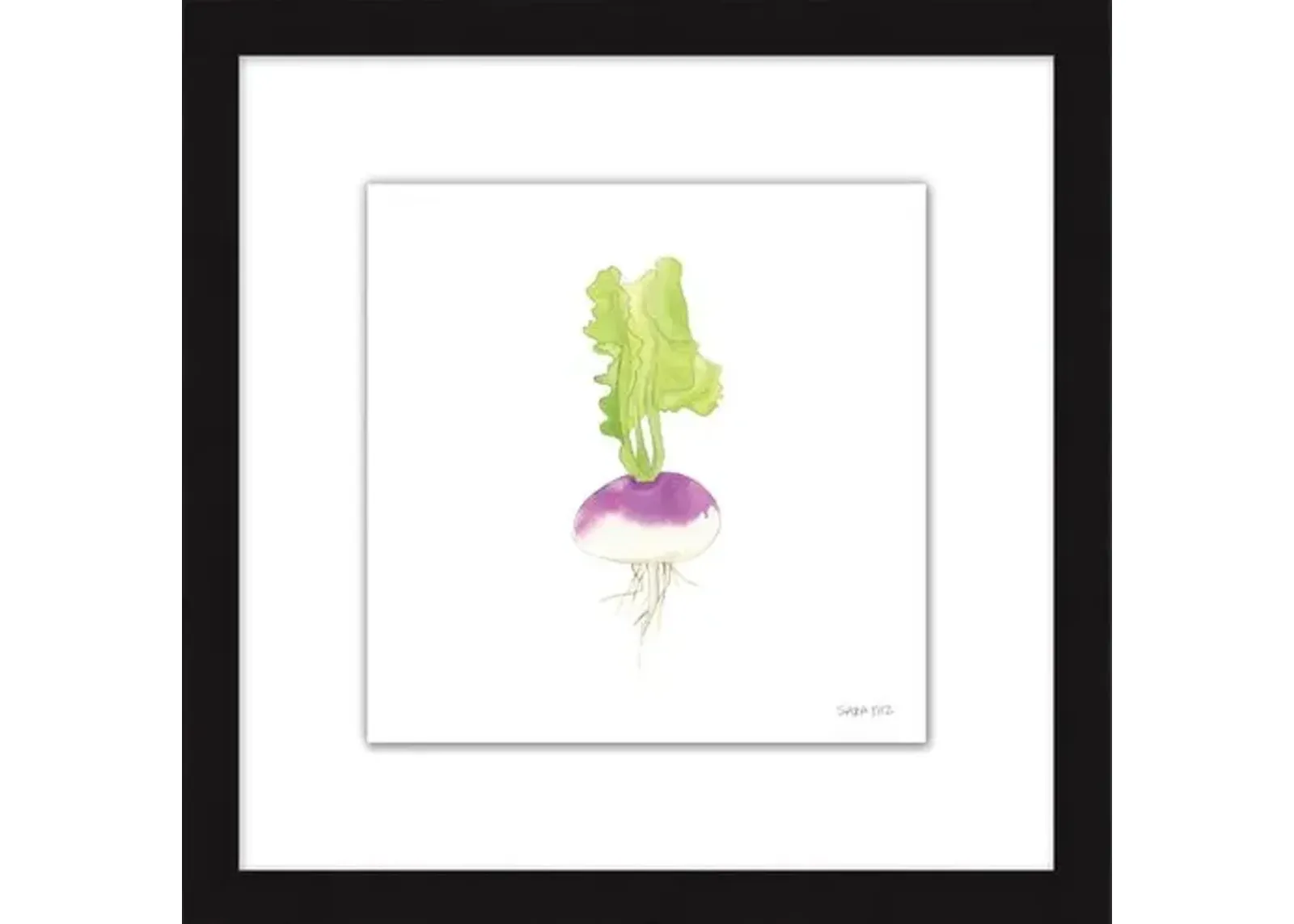 Sara Fitz - Turnip 1