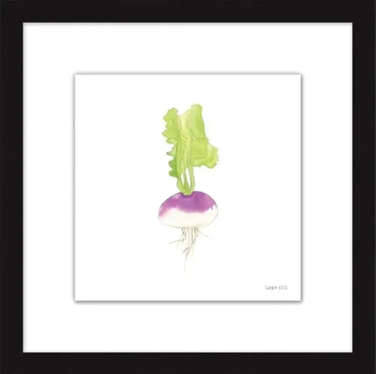 Sara Fitz - Turnip 1