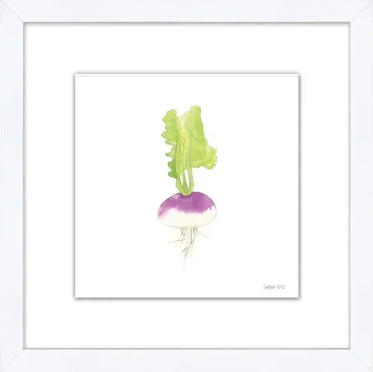 Sara Fitz - Turnip 1