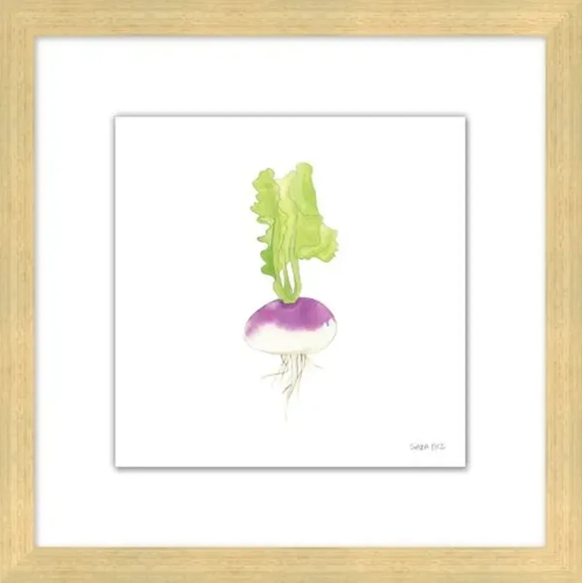 Sara Fitz - Turnip 1